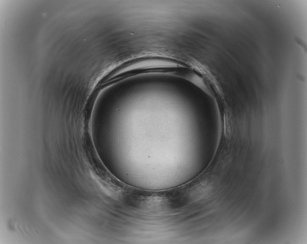 X0000099500204200805151439