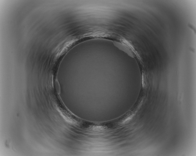 X0000099500205200805151439