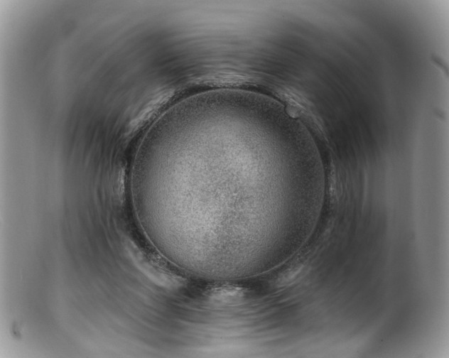 X0000099500206200805151439