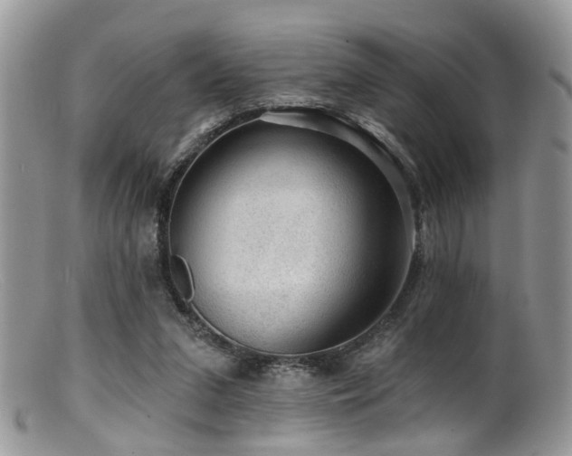 X0000099500207200805151439