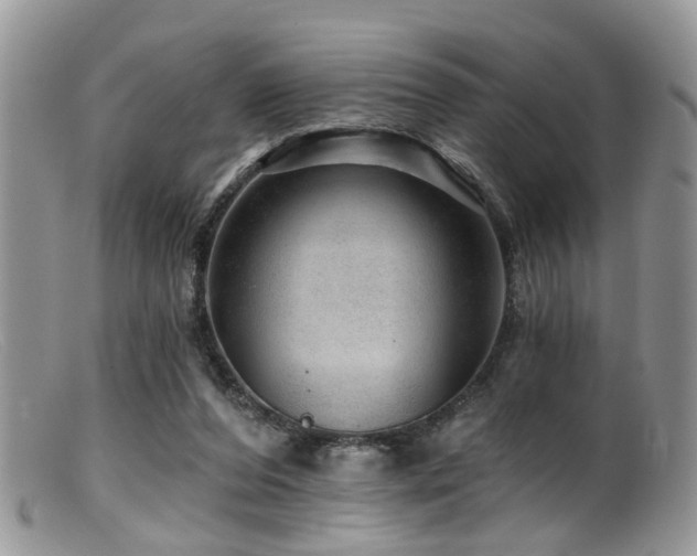 X0000099500208200805151439