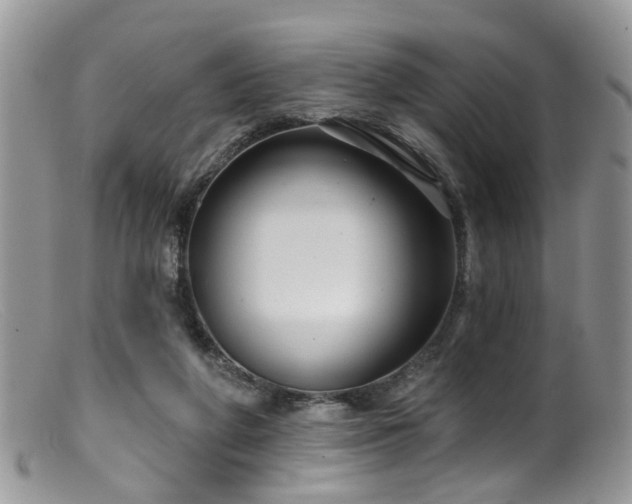 X0000099500210200805151439