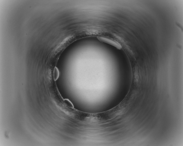 X0000099500211200805151439