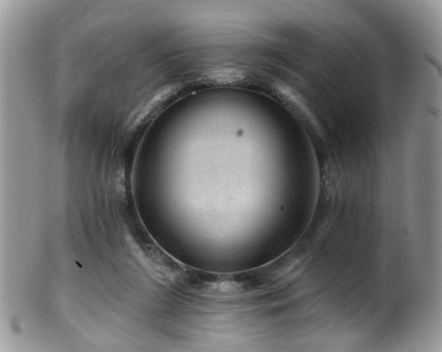 X0000099500212200805151439