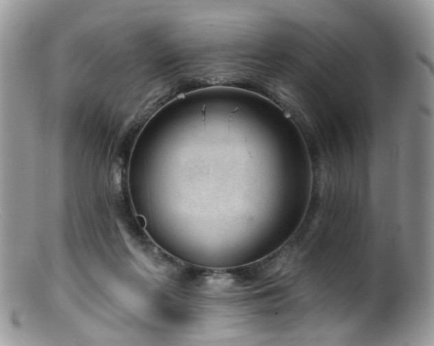 X0000099500214200805151439