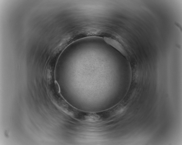 X0000099500215200805151439