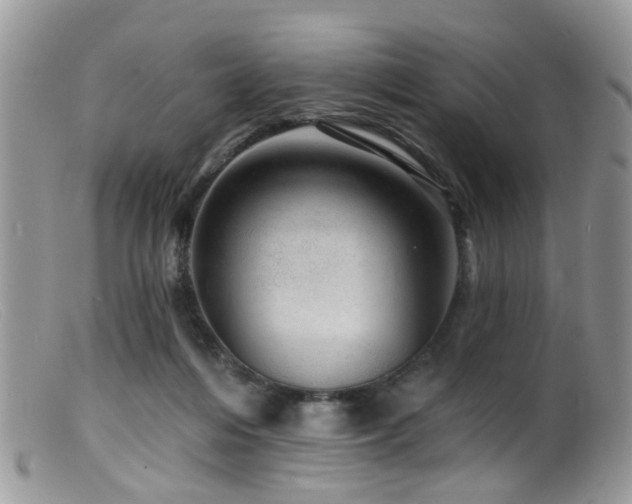 X0000099500216200805151439