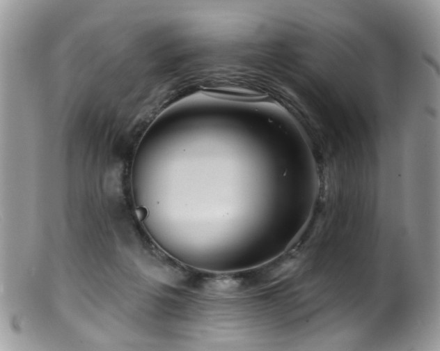 X0000099500217200805151439