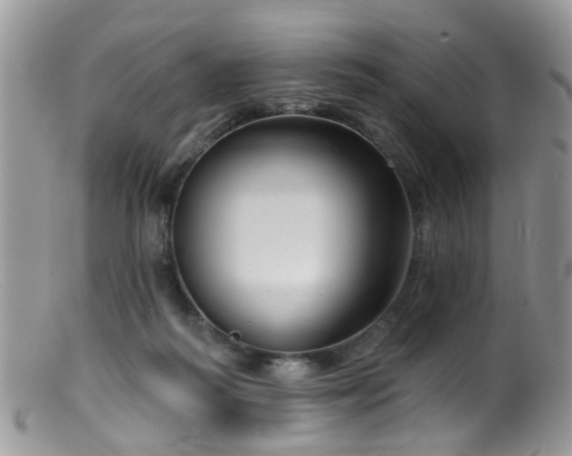 X0000099500218200805151439