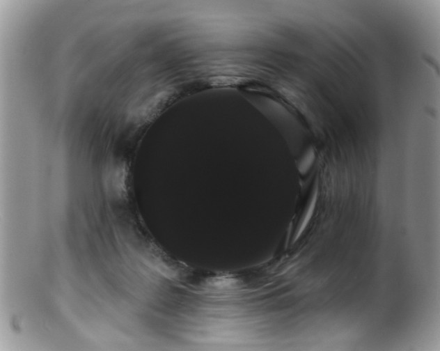 X0000099500219200805151439