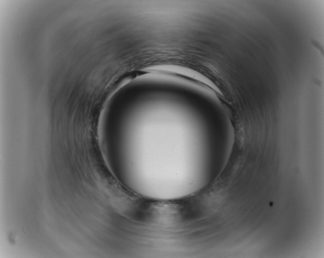 X0000099500221200805151439