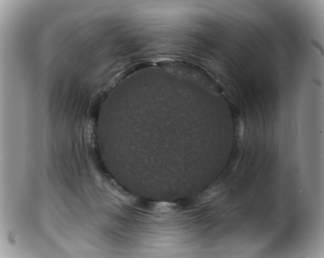X0000099500222200805151439
