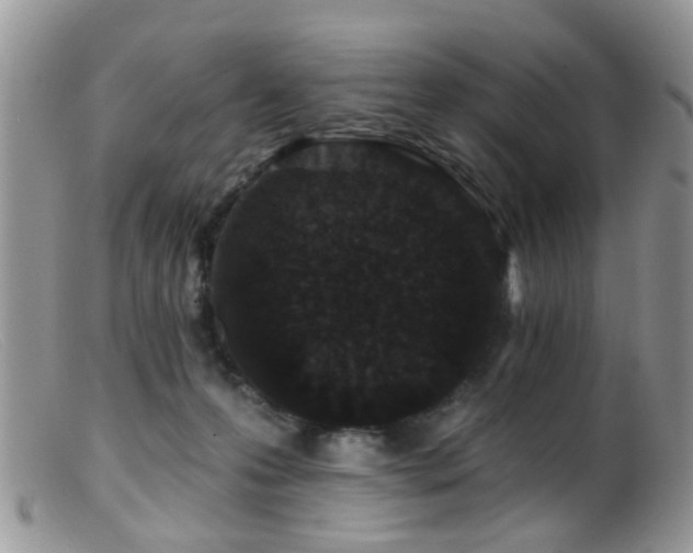 X0000099500223200805151439