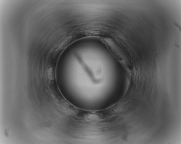X0000099500224200805151439