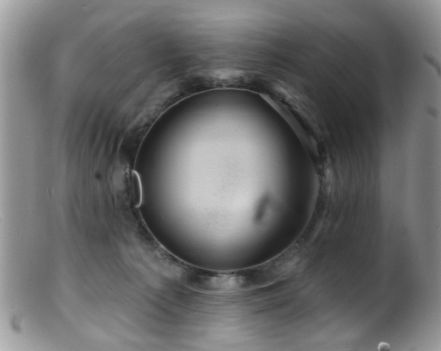 X0000099500225200805151439