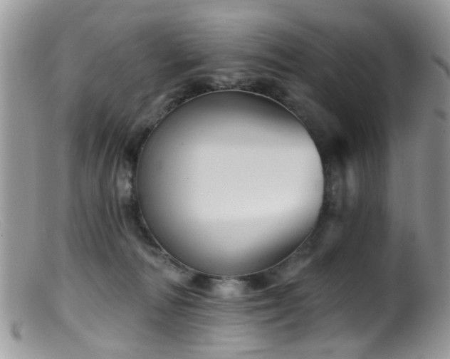 X0000099500226200805151439