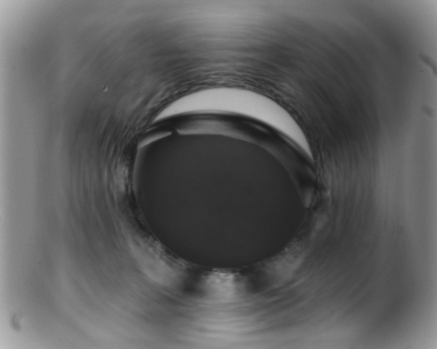 X0000099500227200805151439