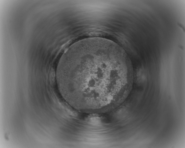 X0000099500228200805151439