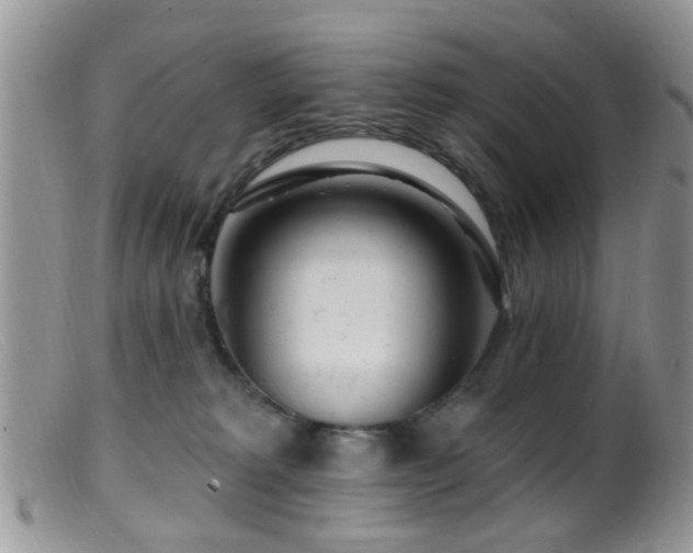 X0000099500229200805151439