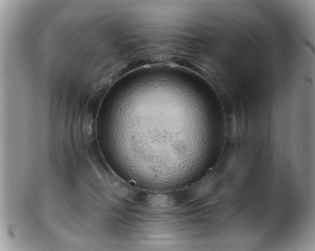 X0000099500230200805151439