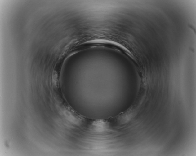 X0000099500231200805151439