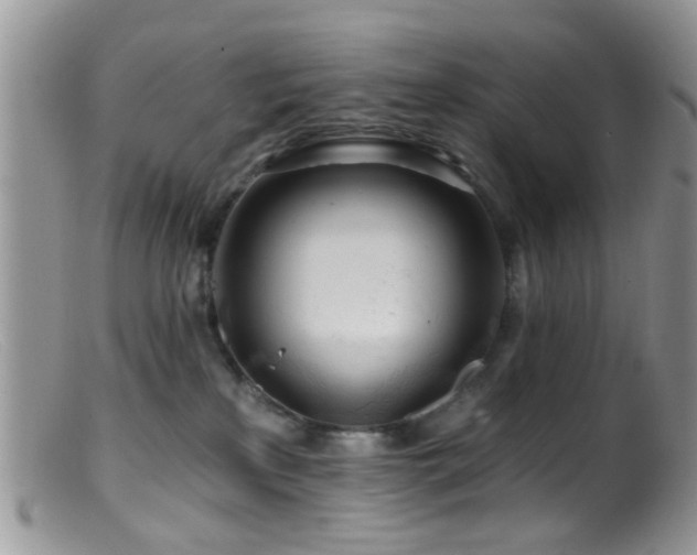 X0000099500233200805151439
