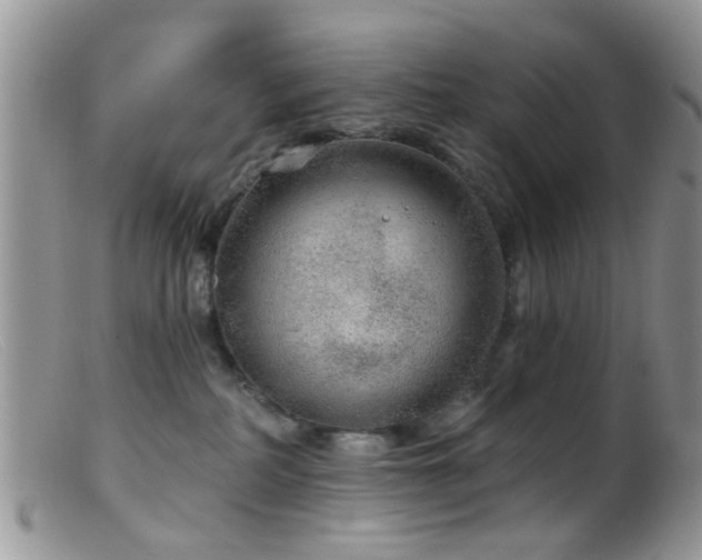 X0000099500234200805151439