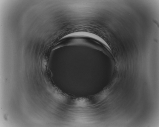 X0000099500235200805151439
