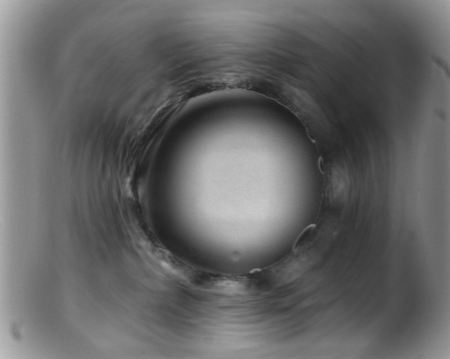 X0000099500236200805151438