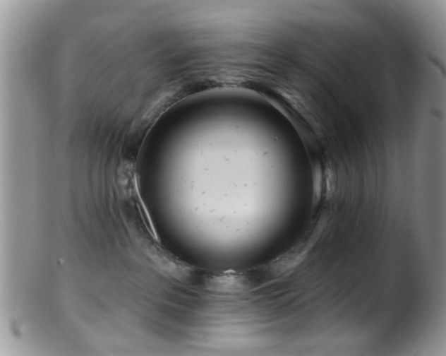 X0000099500237200805151438