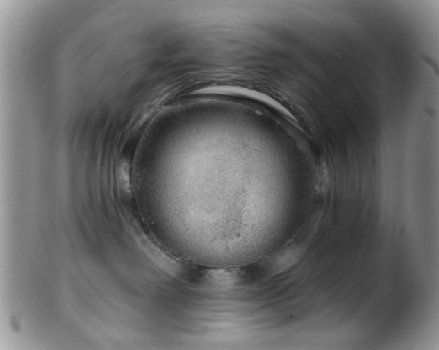 X0000099500238200805151438