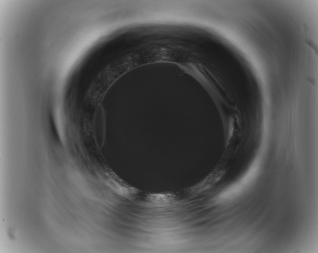 X0000099500239200805151438