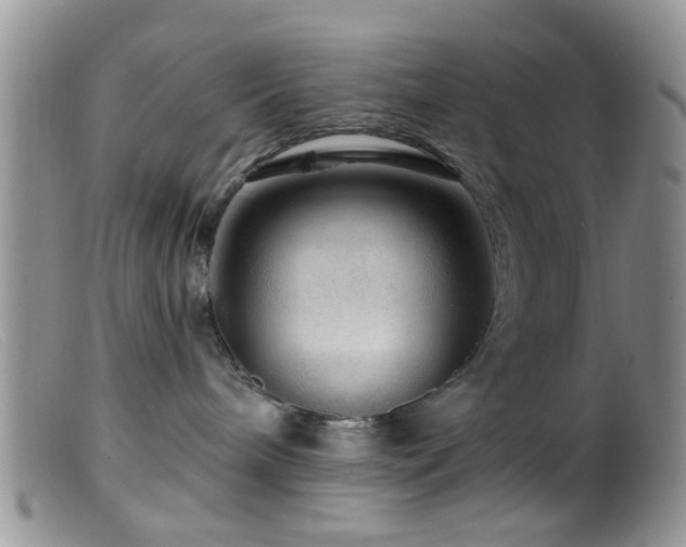 X0000099500240200805151438