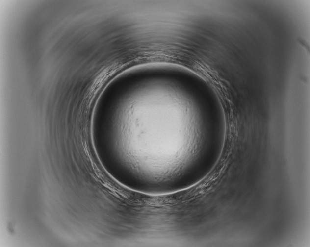 X0000099500241200805151438