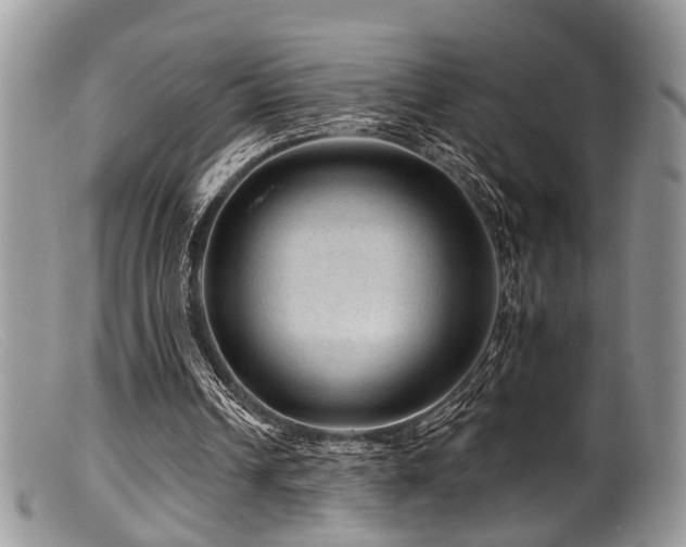 X0000099500242200805151438