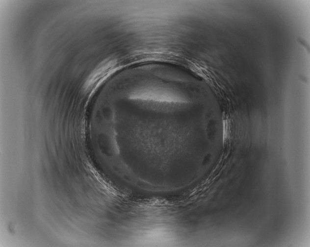 X0000099500243200805151438