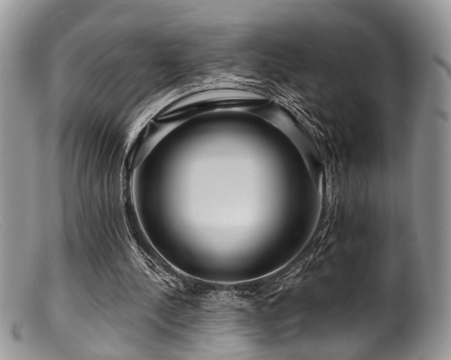 X0000099500244200805151438