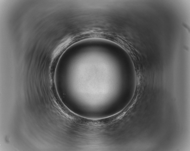 X0000099500245200805151438