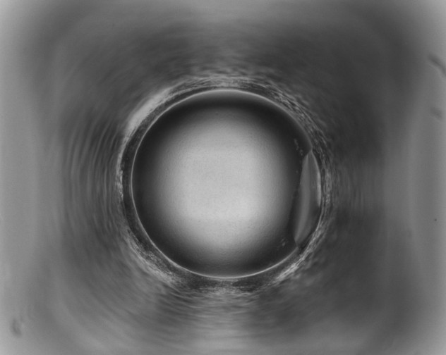 X0000099500246200805151438