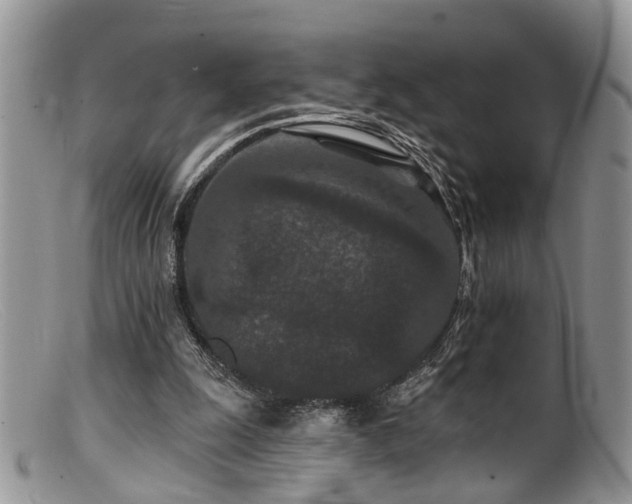 X0000099500247200805151438