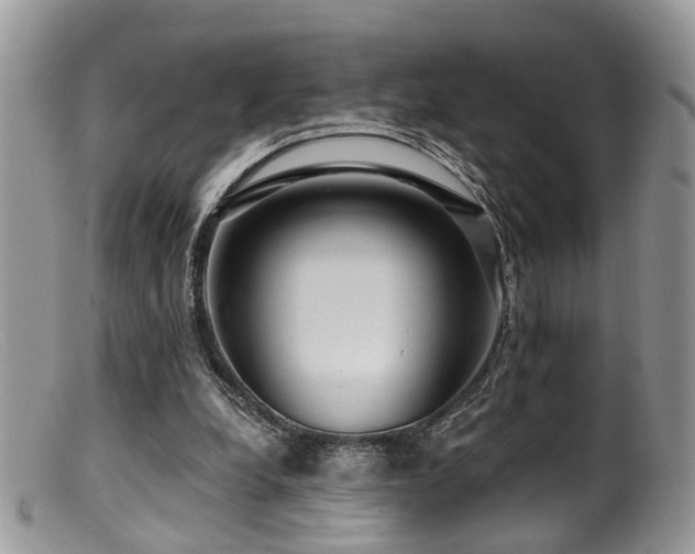 X0000099500248200805151438