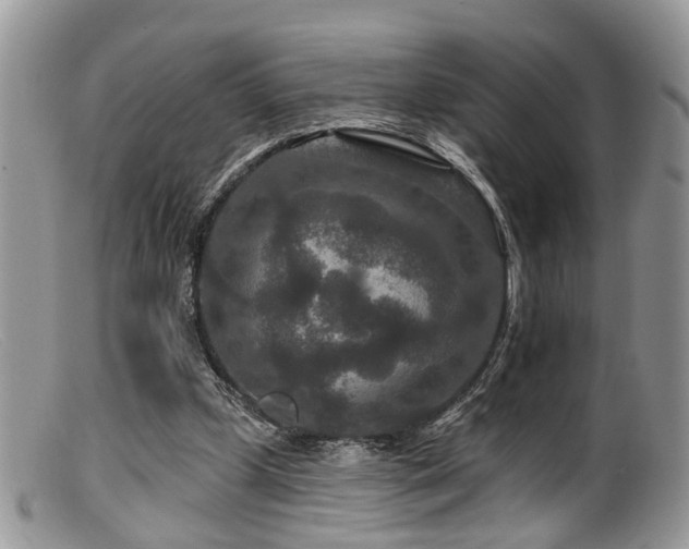 X0000099500249200805151438