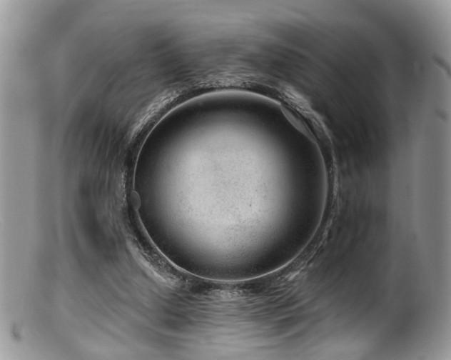 X0000099500250200805151438