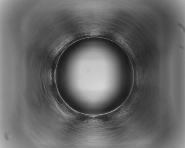 X0000099500251200805151438