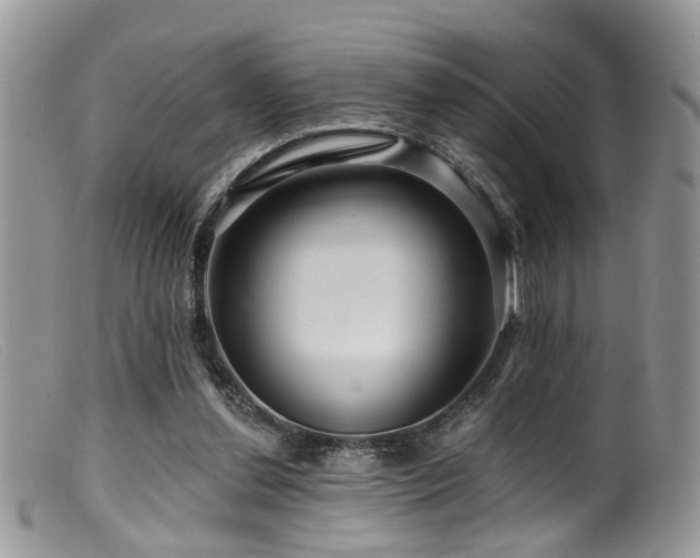 X0000099500252200805151438
