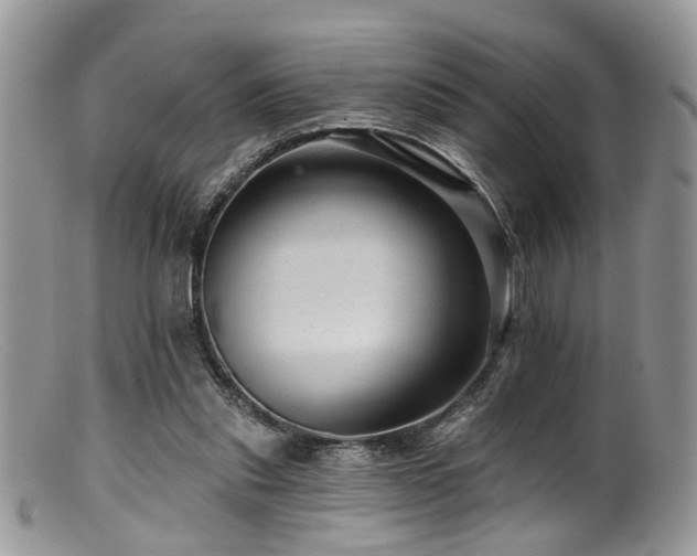 X0000099500253200805151438
