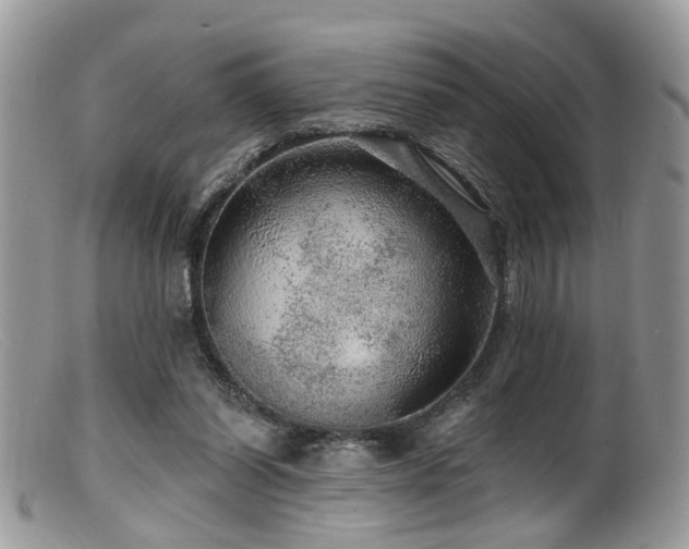 X0000099500254200805151438