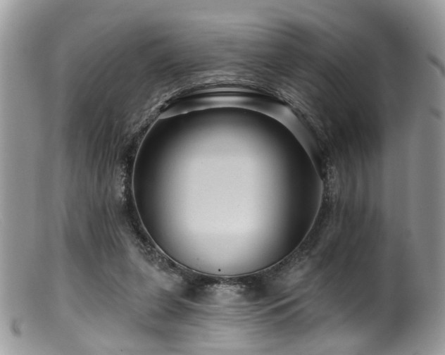 X0000099500255200805151438