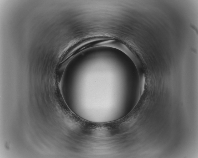 X0000099500256200805151438