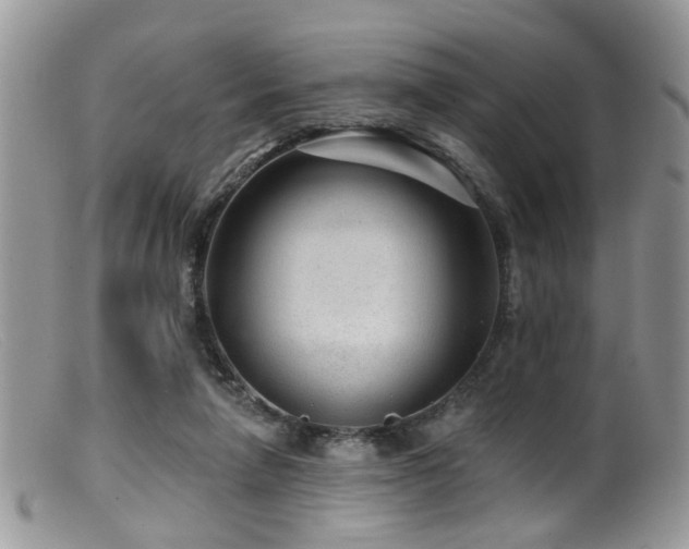 X0000099500258200805151438